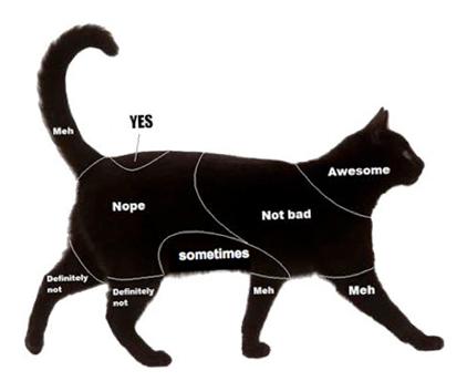 Mengapa Tempat Terbaik Untuk Mengelus Kucing Sangat Penting?